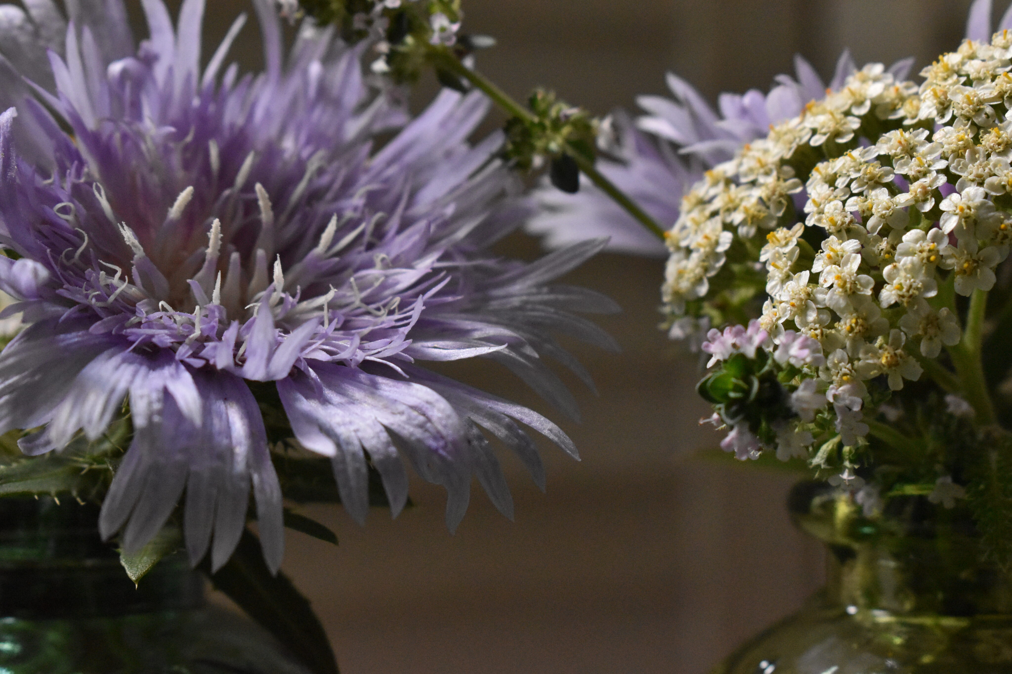 Yarrow Bouquet For A Sweet Simple Summer Vase Life Of Noveltea