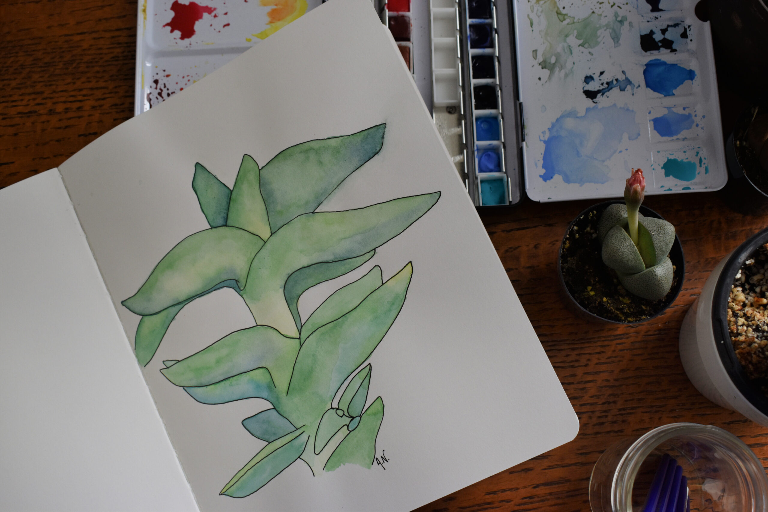 Getting started with houseplant art
